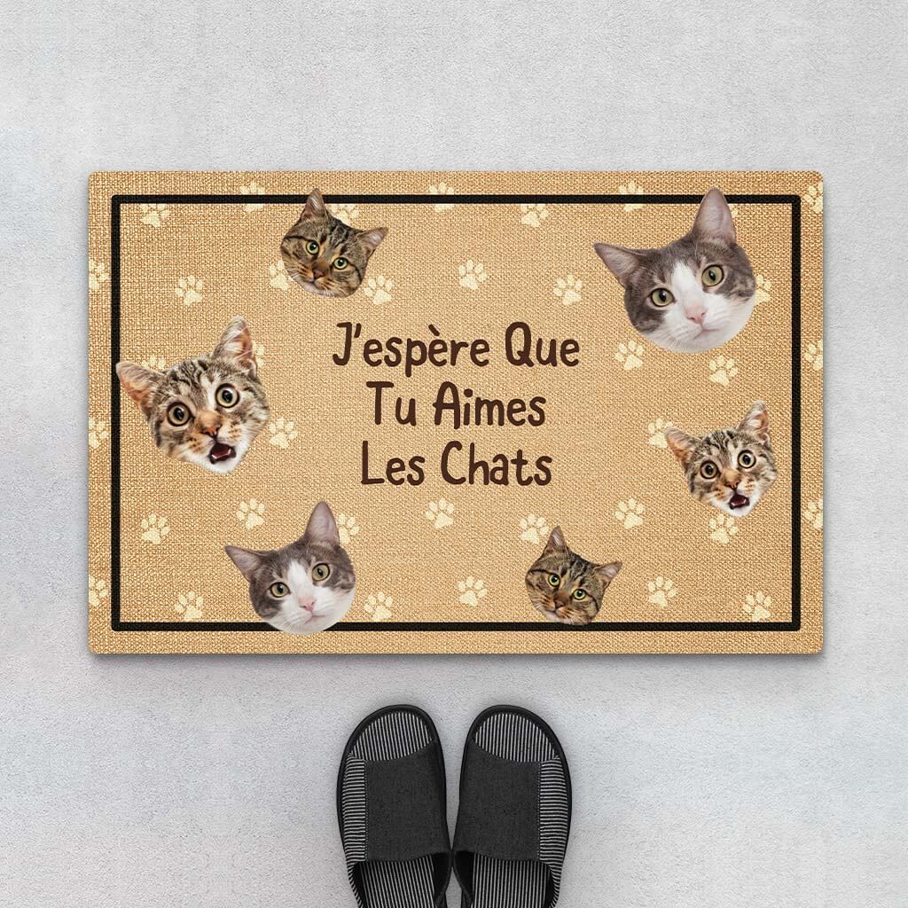 Paillasson Bienvenue Chez À La Maison Les Chats Personnalisé