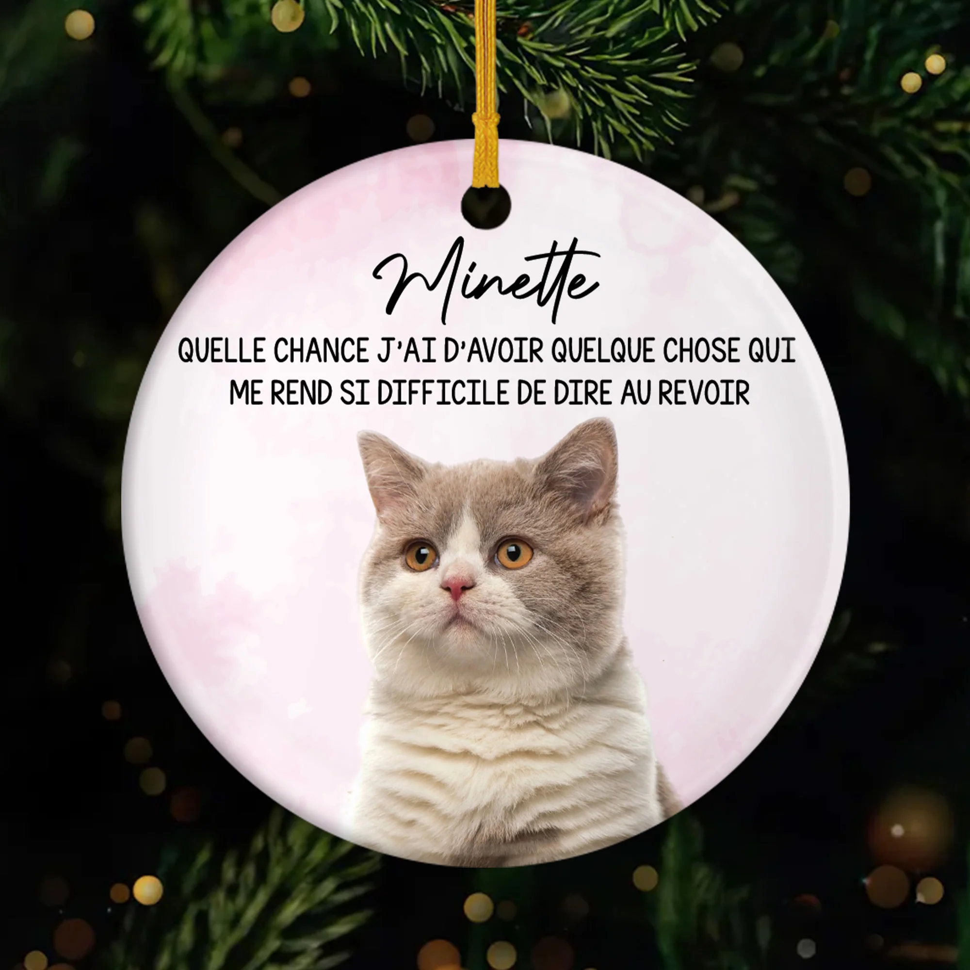 Ornement Céramique Personnalisé Chat - D'avoir Quelque Chose Qui Me Rend Si Difficile De Dire Au Revoir
