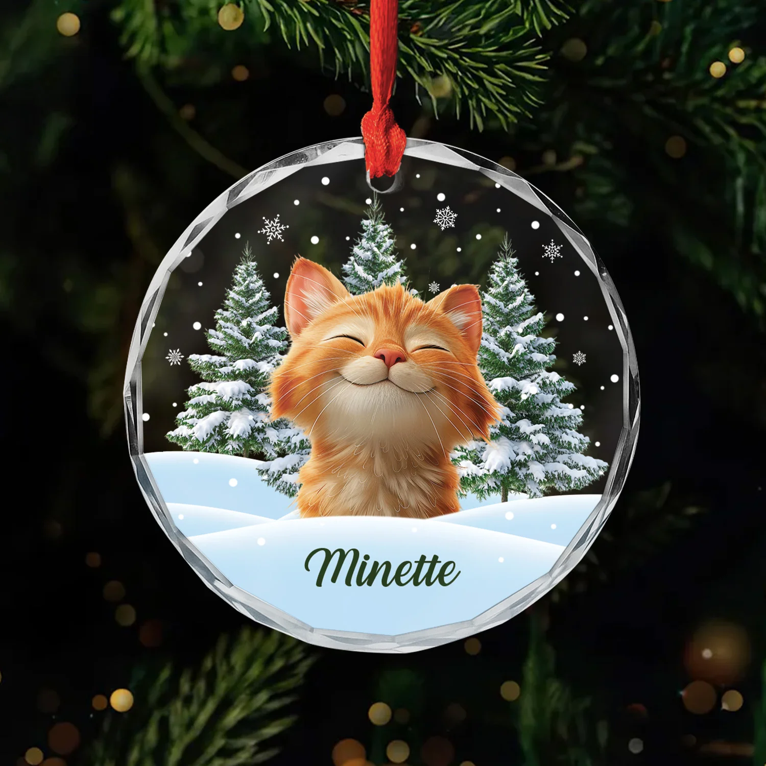 Cadeau De Noël Personnalisé – Ornement Verre Chat Avec Photo