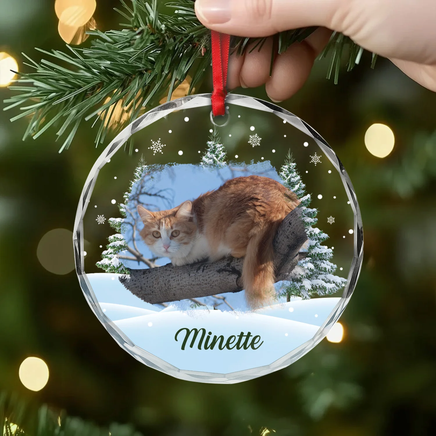 Cadeau De Noël Personnalisé – Ornement Verre Chat Avec Photo - Image 2