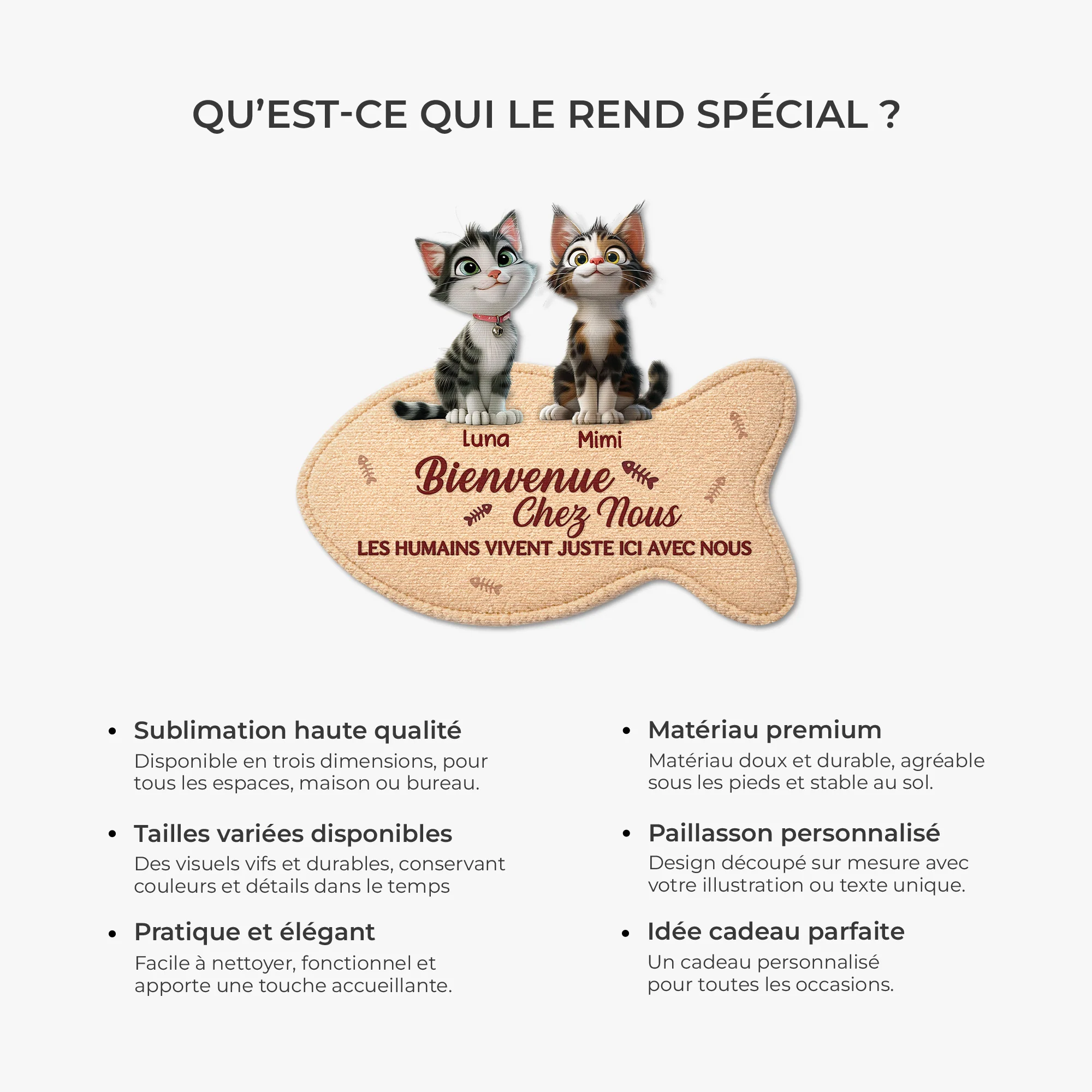 Paillasson Personnalisé Bienvenue Chez Mon Chat - Image 6