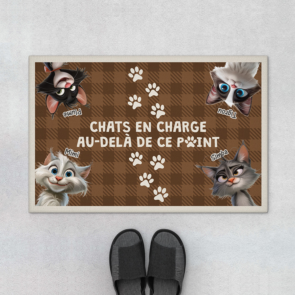 Paillasson Chat En Charge Personnalisé