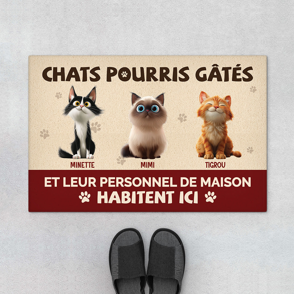 Paillasson Mon Chat Gâté Personnalisé