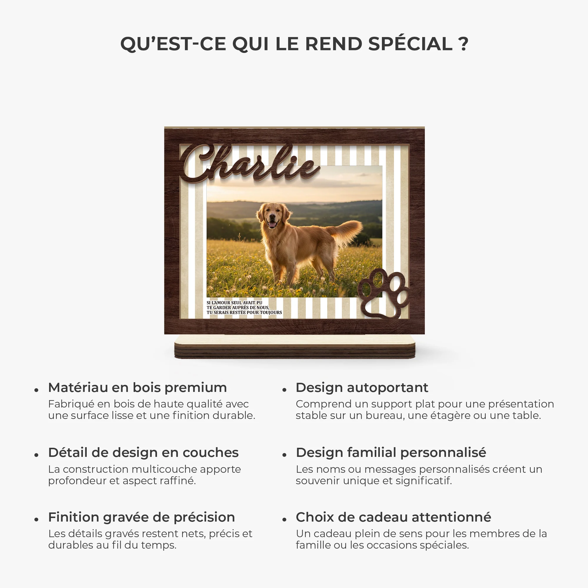 Plaque Bois Personnaisée Photo Commémorative Et Motif Rayé - Cadeau Souvenir Animal De Compagnie - Image 6