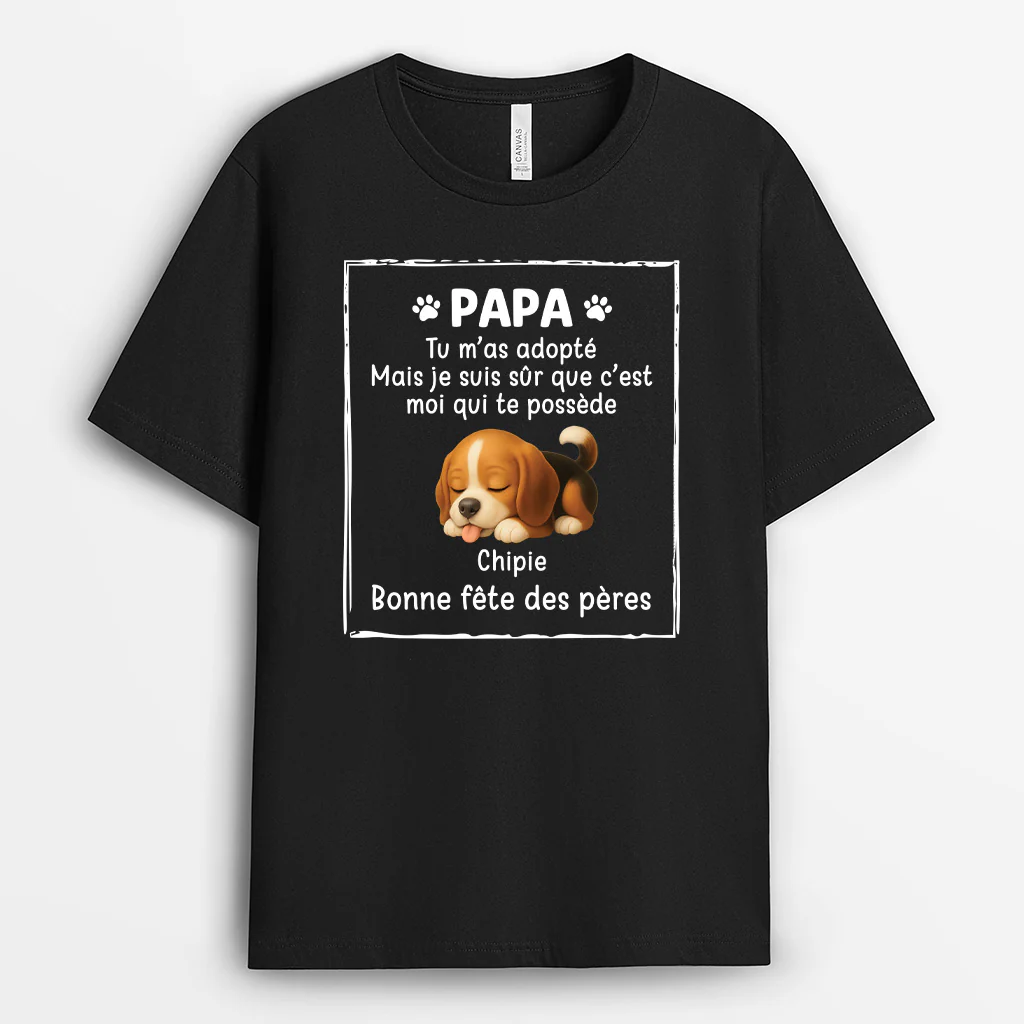 Tee Shirt Pour Chien Personnalisé | C’est Moi Qui Te Possède