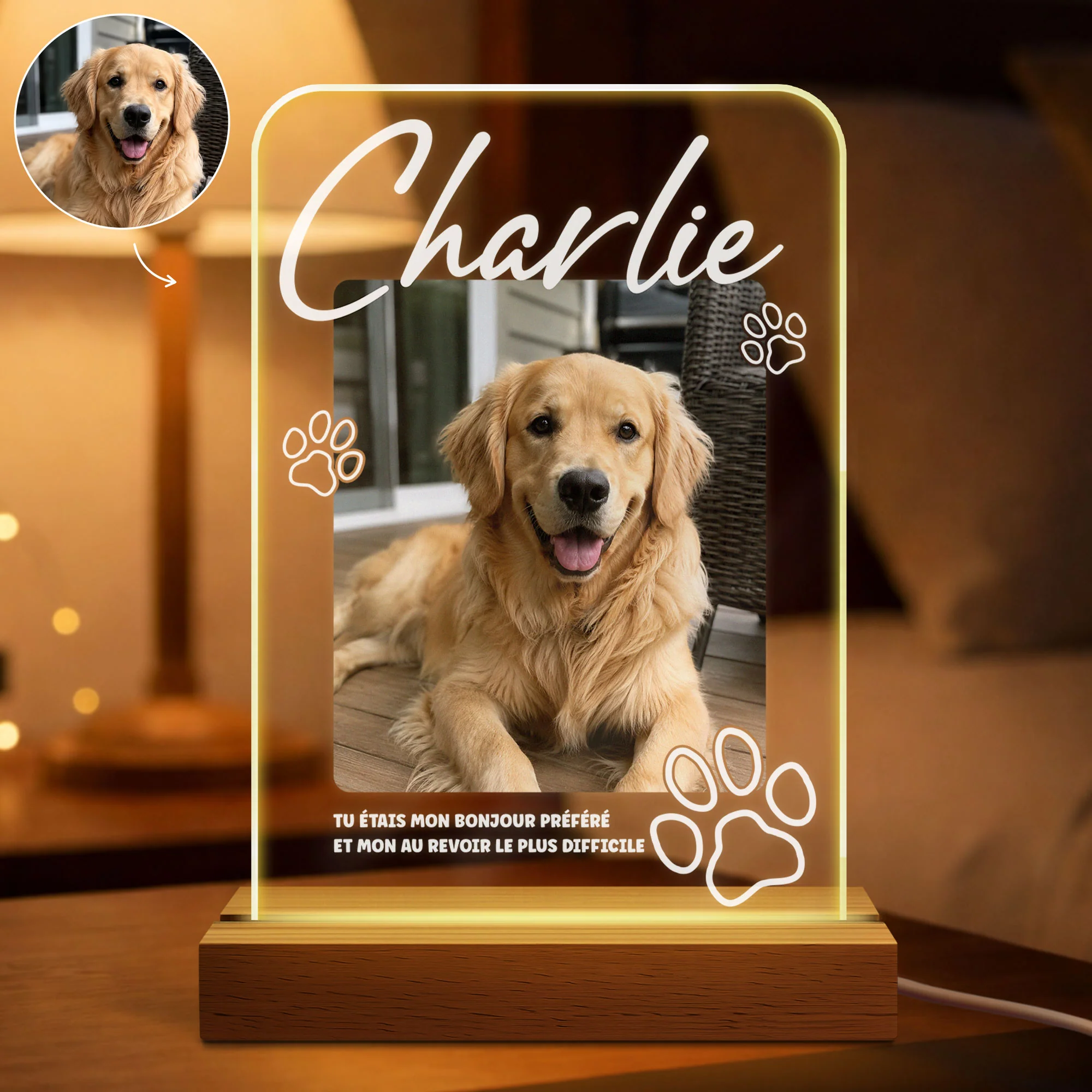 Veilleuse LED Personnalisée Photo Commémorative - Cadeau Chien Chat Dans Mon Cœur