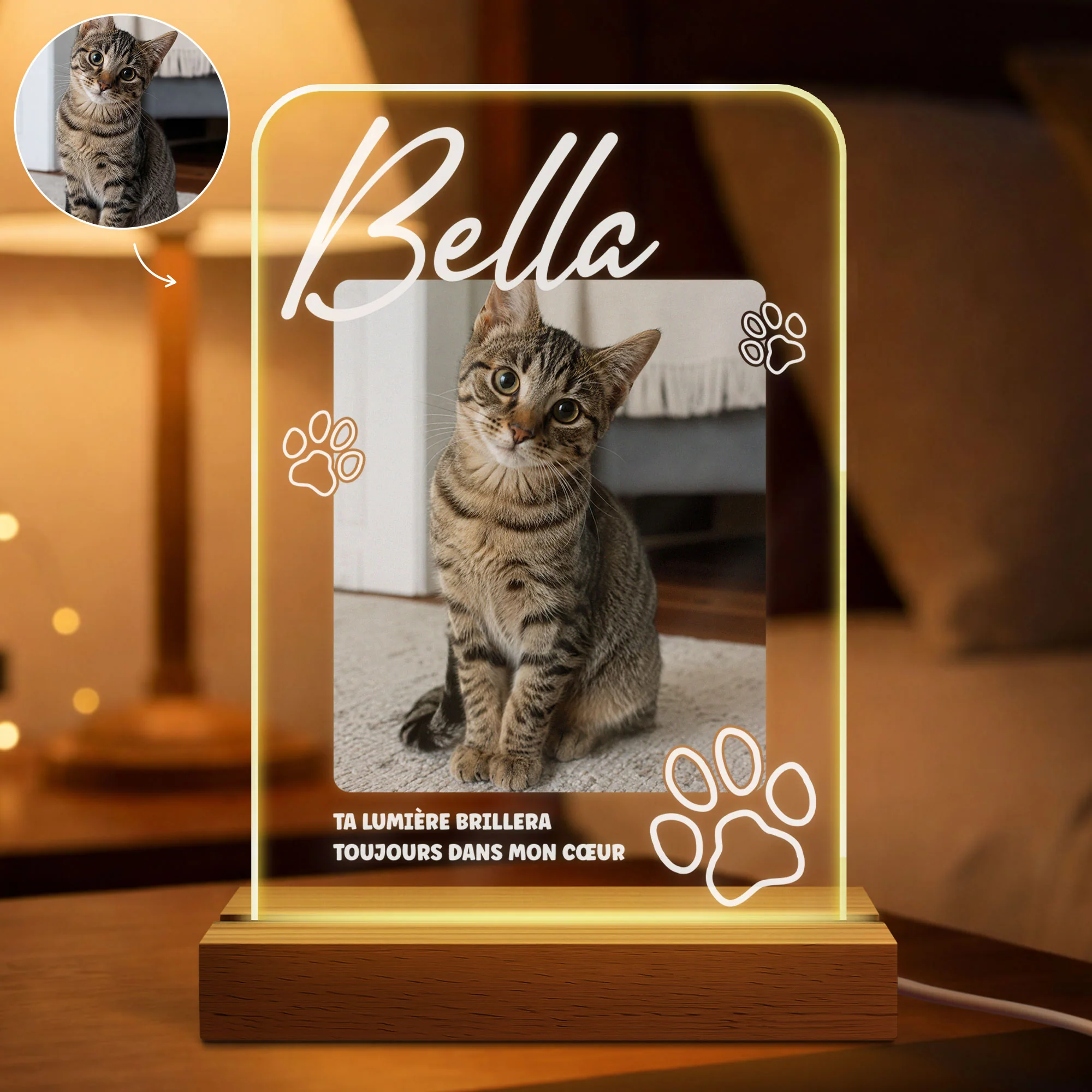 Veilleuse LED Personnalisée Photo Commémorative - Cadeau Chien Chat Dans Mon Cœur - Image 2