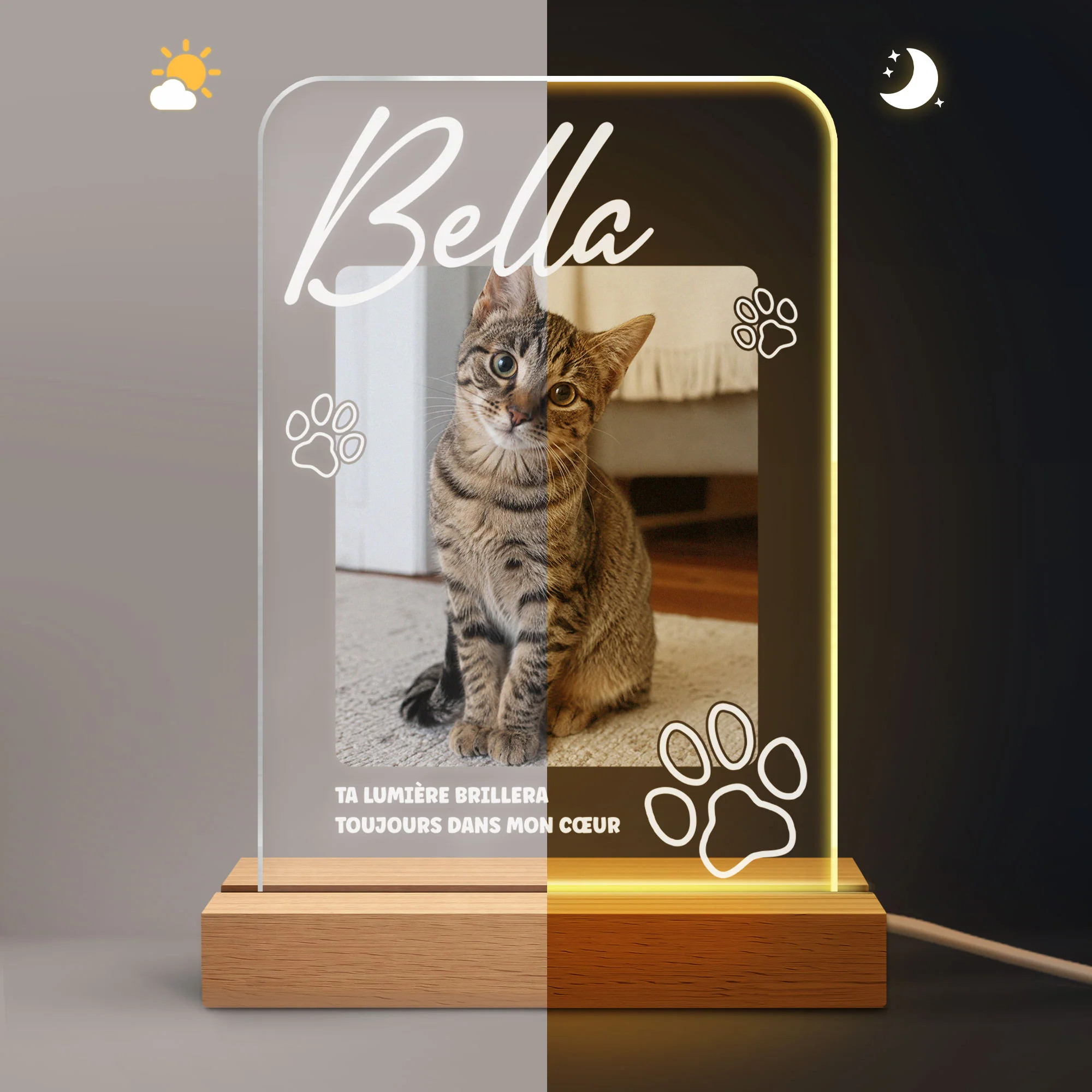 Veilleuse LED Personnalisée Photo Commémorative - Cadeau Chien Chat Dans Mon Cœur - Image 6